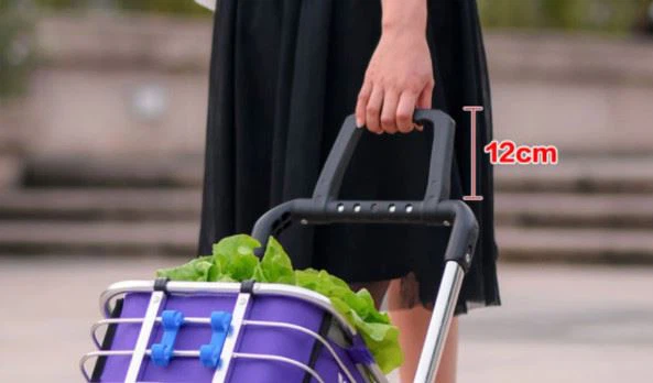 Folding Grocery Utility Climb Stair Cart (2)