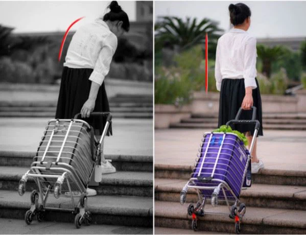 Labor saving shopping trolley 